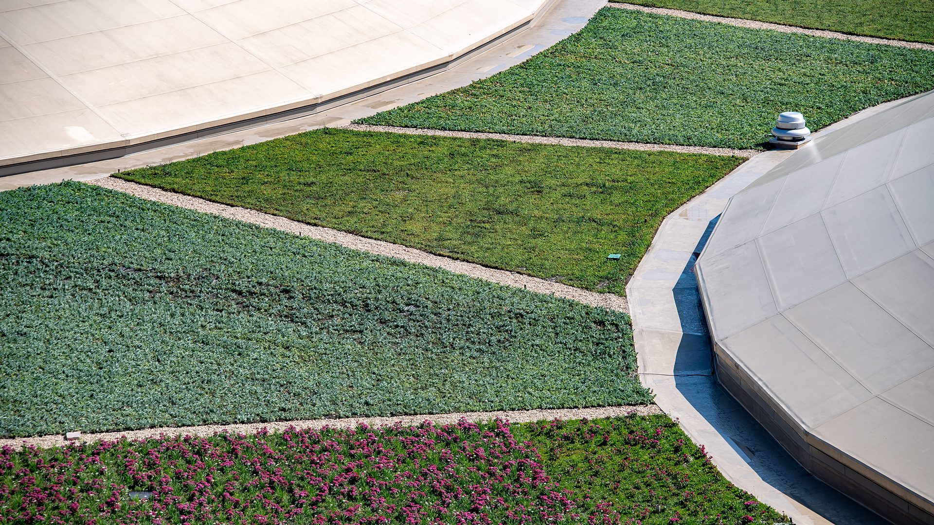 University of Notre Dame - Joyce Center Green Roof