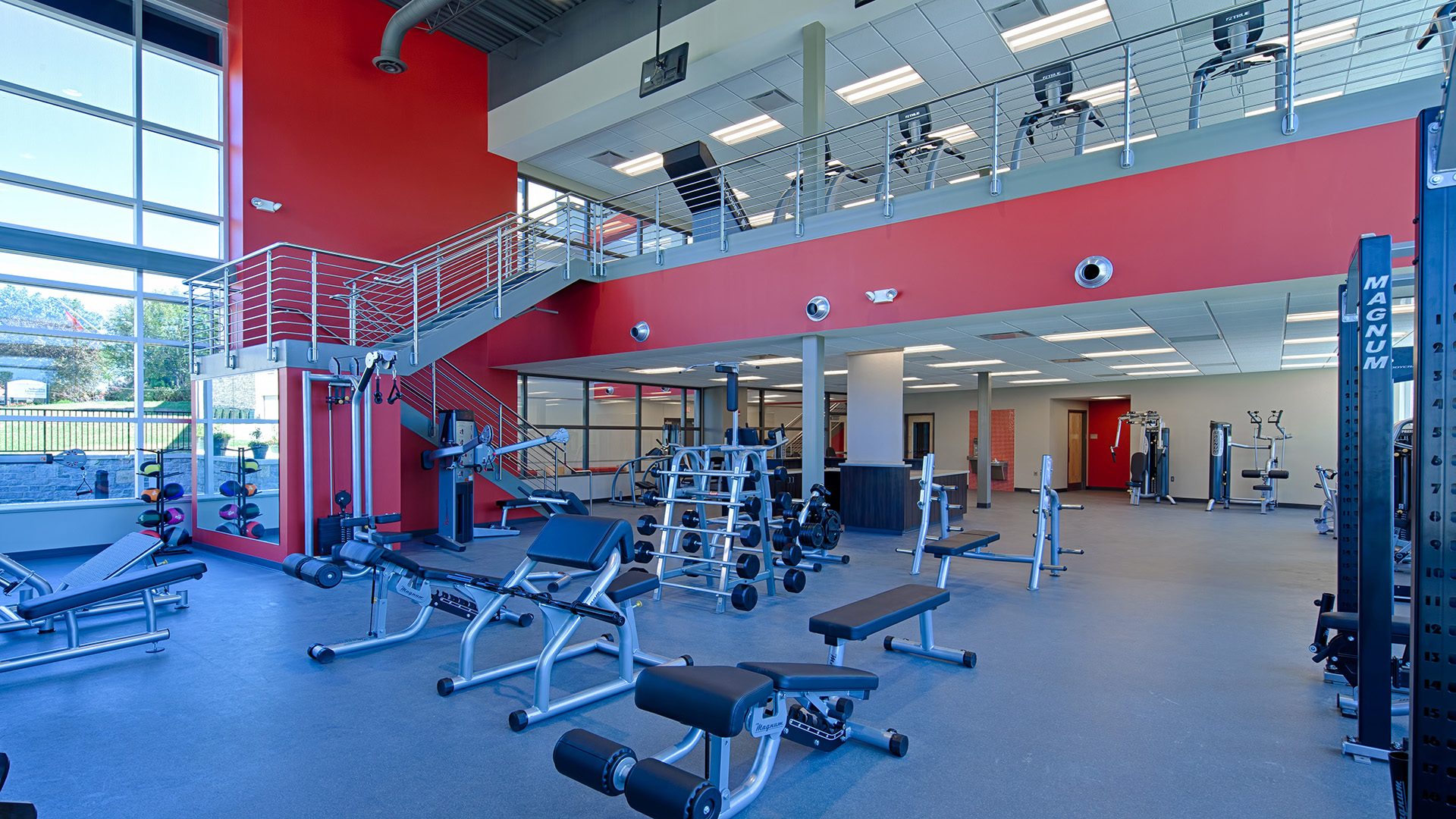 Heidelberg University Saurwein Health and Wellness Center fitness room
