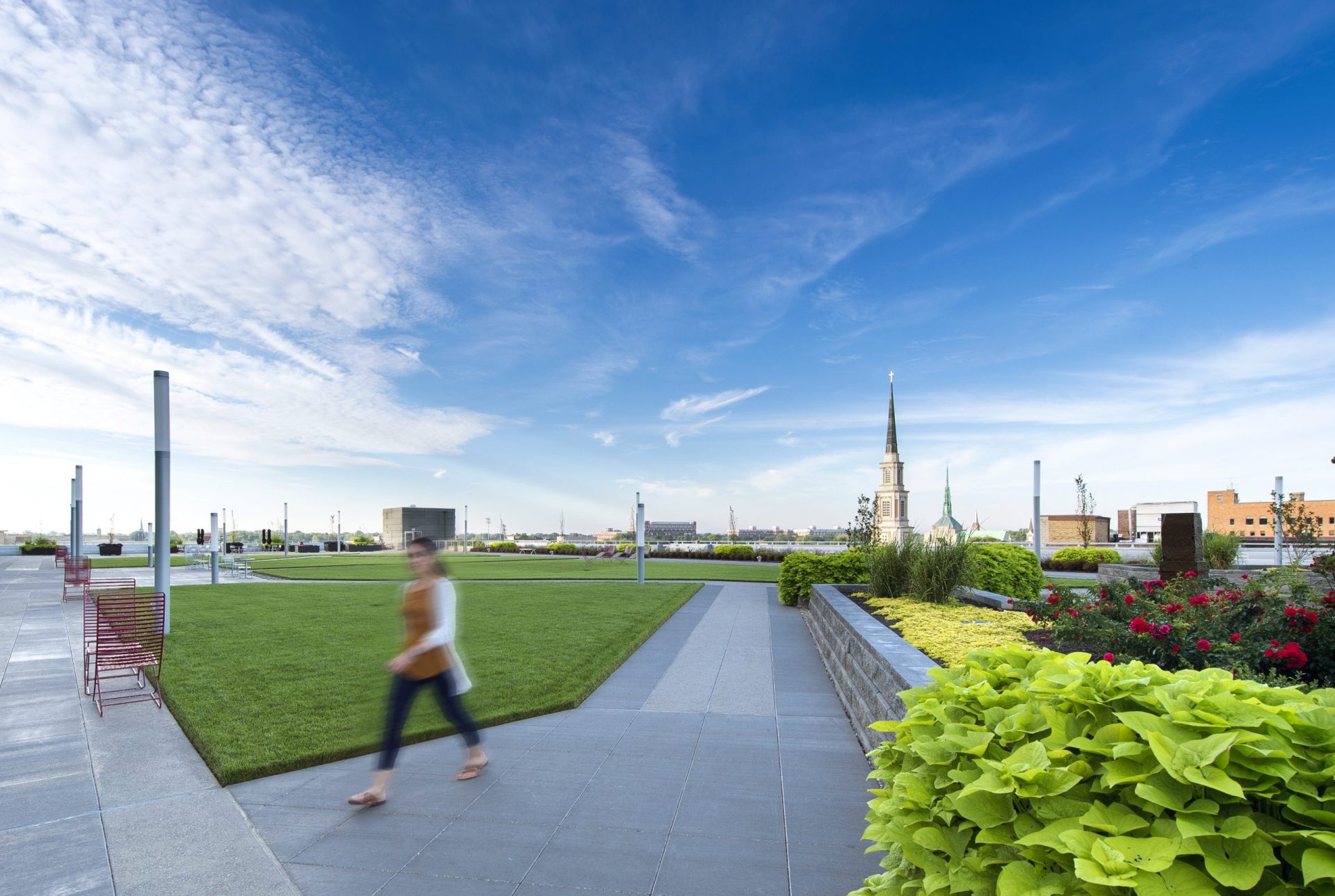 Skyline Tower Park