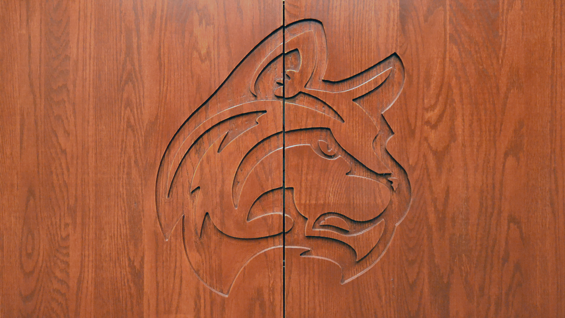Indiana Wesleyan University - Recruiting Room Cabinet Detail