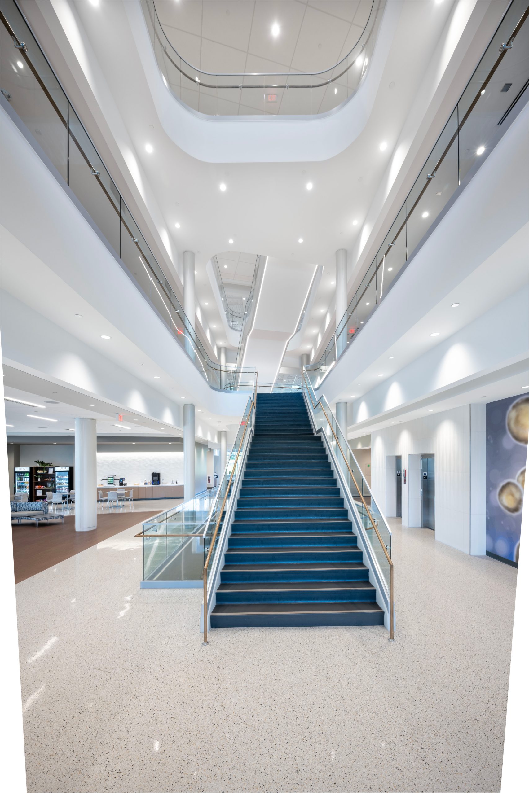 Trine College of Health Professions - Stairs