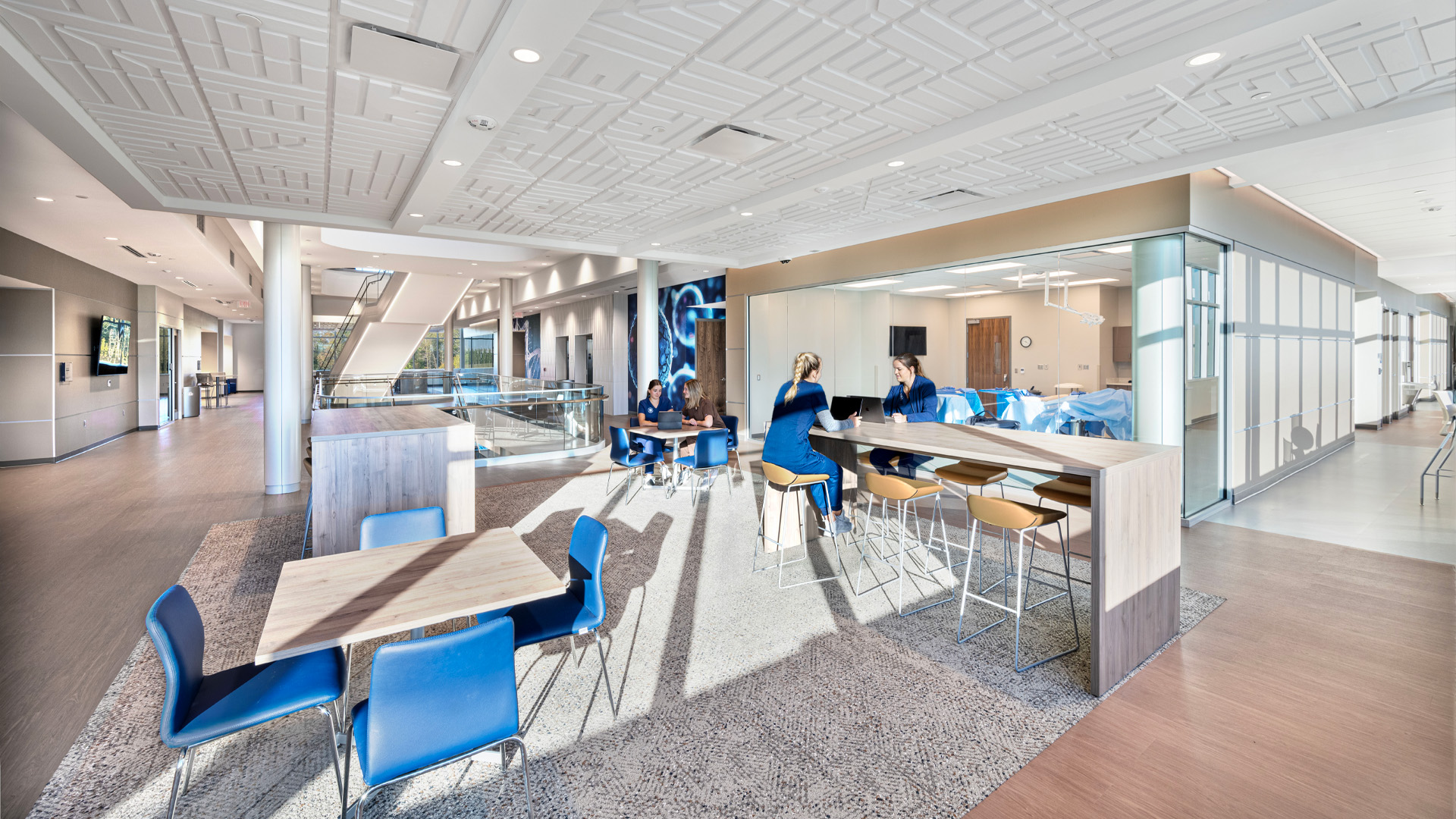 Trine College of Health Professions - Student Commons