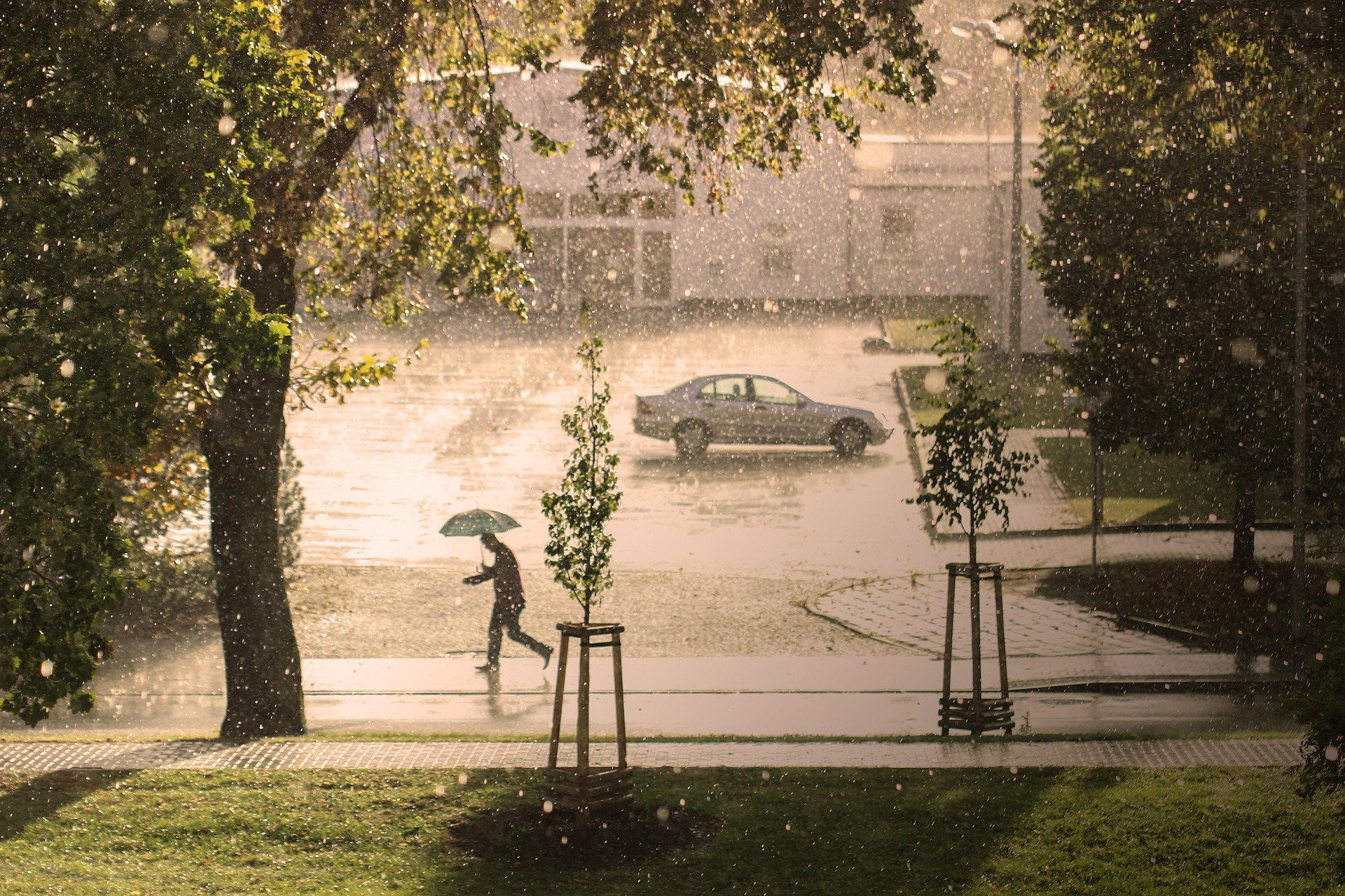 Man Holding Umbrella Walking in Rain